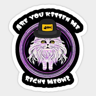 Cat: Are you Kitten Me, Right meow? Sticker